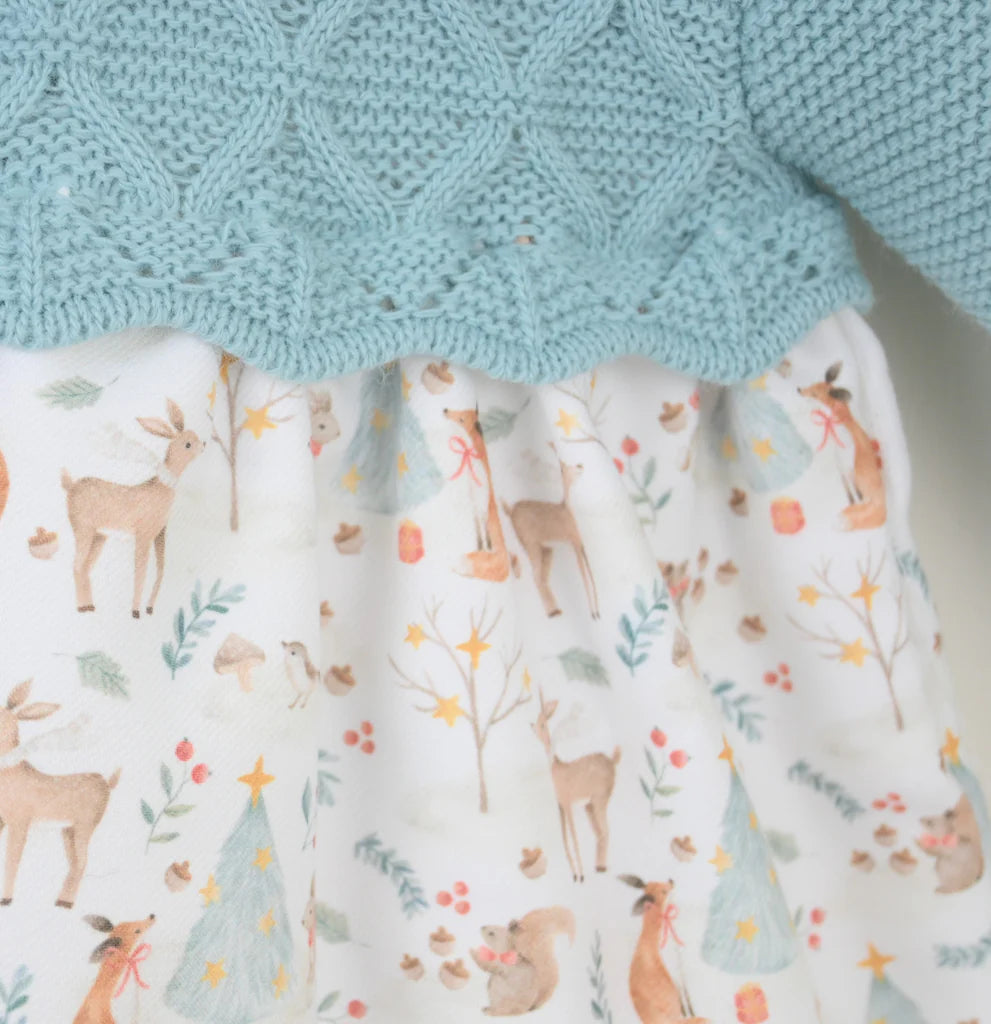 Alpine Blue Winter Friends Dress