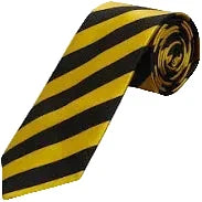 Gaelscoil Eanna LONG tie