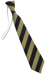 Gaelscoil Eanna ELASTIC tie