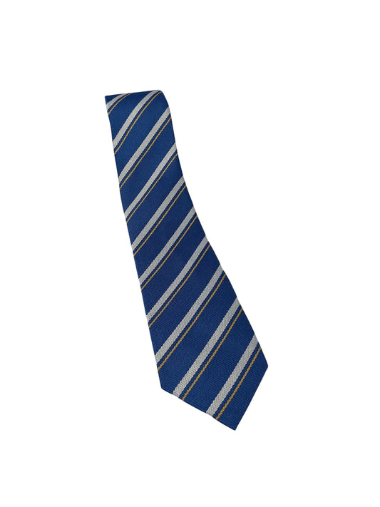 St Vincent dePaul/St colemans LONG tie
