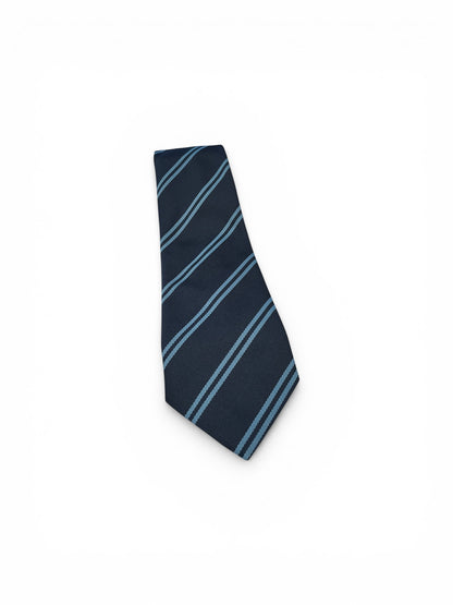 Mercy College TIE
