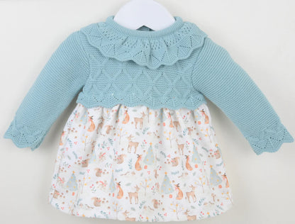 Alpine Blue Winter Friends Dress
