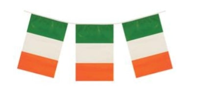 Flag bunting 4m w/11 pennants ireland