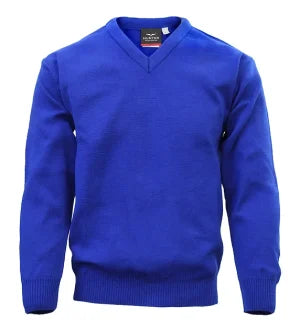 Plain ROYAL  V neck (Mercy P.S)