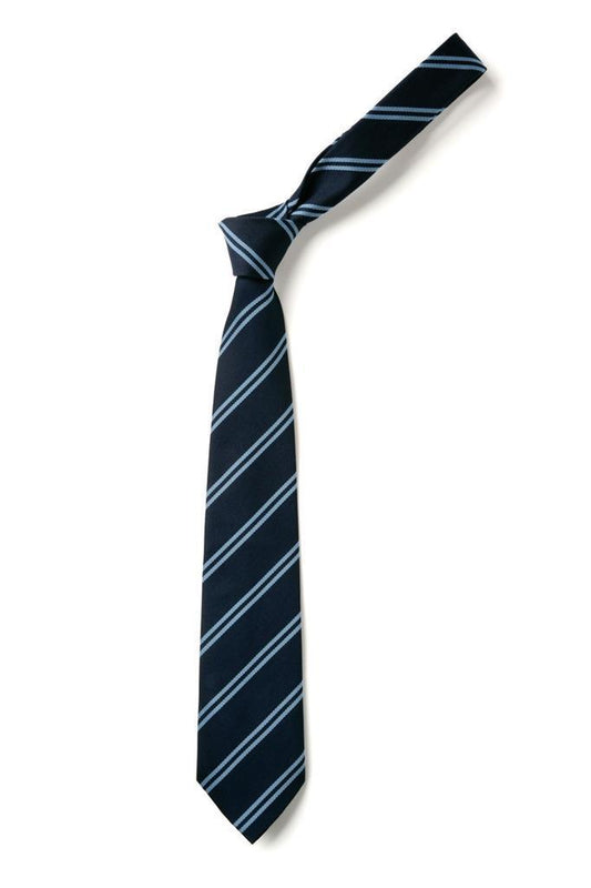 Mercy College TIE